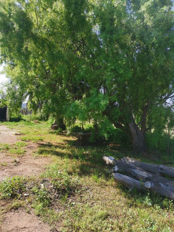 0 Bedroom Property for Sale in Ladismith Western Cape